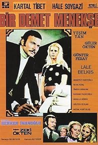 Primary photo for Bir Demet Menekse