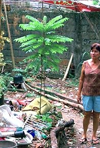 Primary photo for Helen Anang