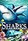 Sharks (in 3D)'s primary photo