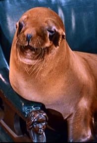 Primary photo for Asoulda