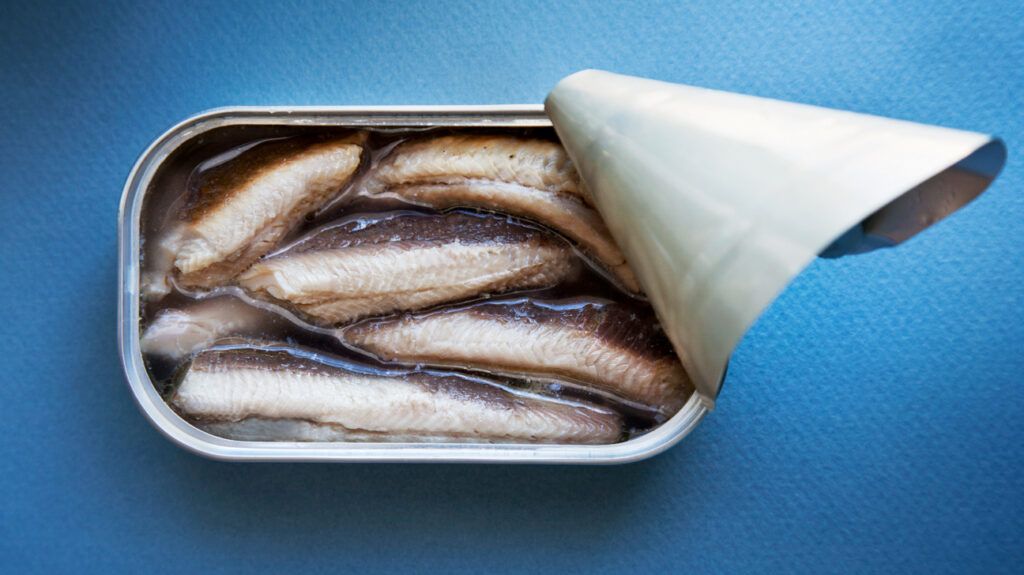Sardines in a tin 1