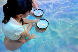 プロジェクションマッピングでリアルな海を再現