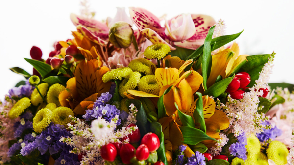 倒れていた私を見つけてくれた兄へ感謝の花を