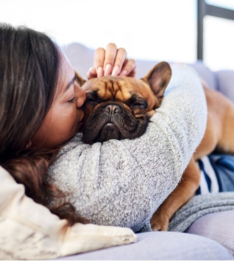 woman snuggling brown french bulldog on a couch