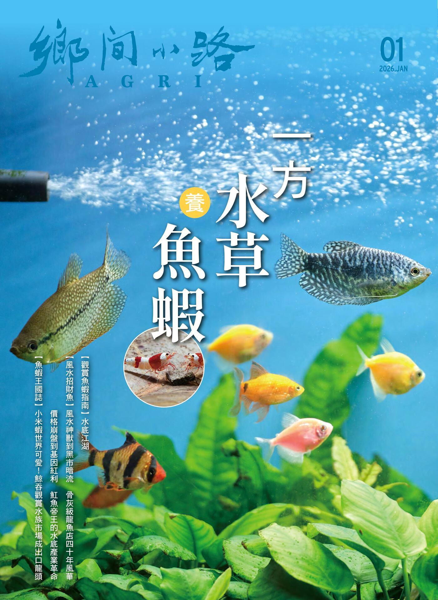 鄉間小路 2026年01月號