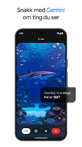 Skjermbilde