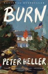Icon image Burn: A novel