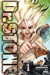 Icon image Dr. STONE: Stone World