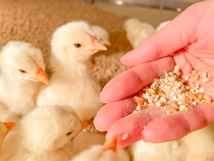 【Sendai】7 phút đi thẳng đến sân bay! Mua sắm tại “Aeon Mall Natori”