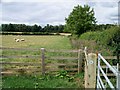 SP2325 : Footpath leaves bridleway by Michael Dibb