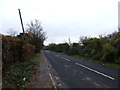 TR0459 : Canterbury Road, near Boughton-under-Blean by Chris Whippet