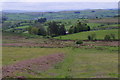 SO0545 : Upland scene around Blaenfirnant farm by Andrew Hill