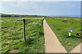 TA1973 : Path to the Clifftop, RSPB Bempton Cliffs by David Dixon