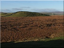  : Above Stalling Busk Pasture. by Steve Partridge