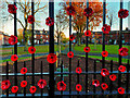 SD7807 : Poppies on the Gates by David Dixon