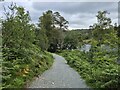 NY3300 : Path around The Tarns by Steven Brown