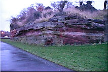 SJ4065 : New Red Sandstone (Roman Quarry face) by N Chadwick