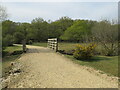 SU1908 : Track at Greenford Bottom, near Ringwood by Malc McDonald