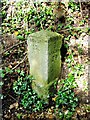 TR1853 : Milestone, Bridge Hill, Bridge by Chris Whippet
