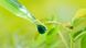 DW Transtel | 2026 | Sustaining Earth