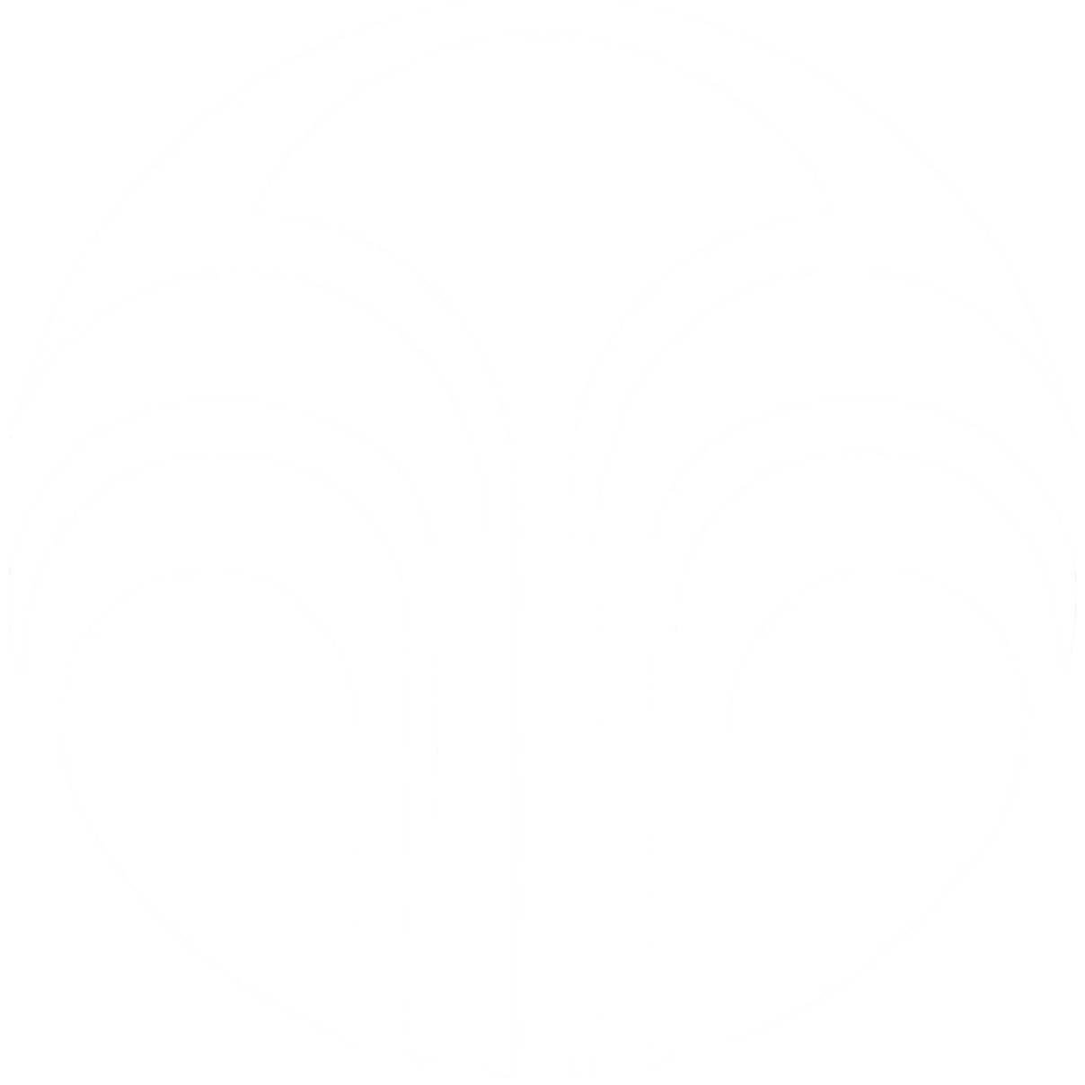 Skincare and Wellness