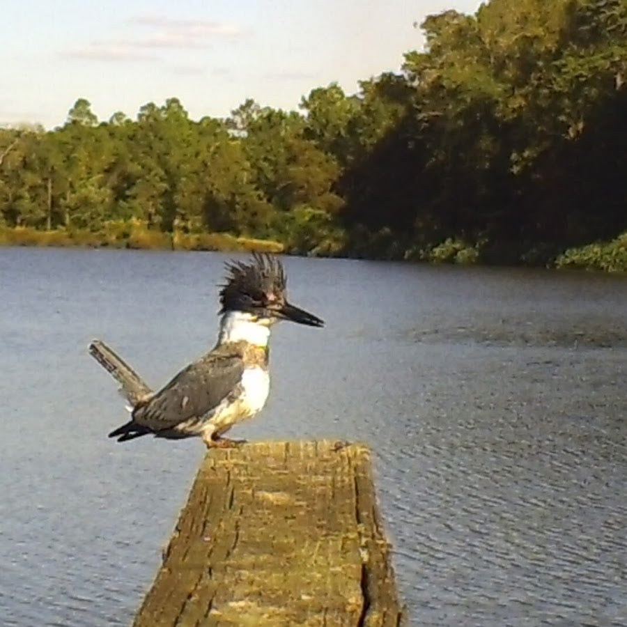 Jerry Turner-Youtube