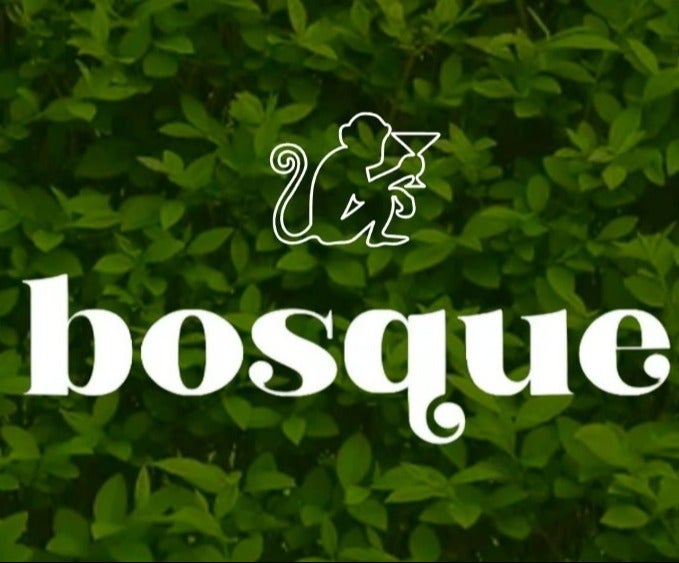 BOSQUE CARNAVAL 16/02