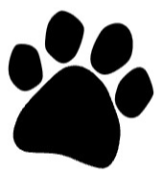 Generate a Free Missing Poster  