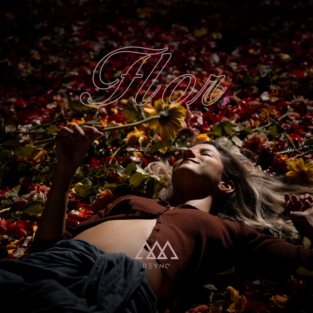 🪻🪷🌻 VISUALIZER  | FLOR 🪻🪷🌻