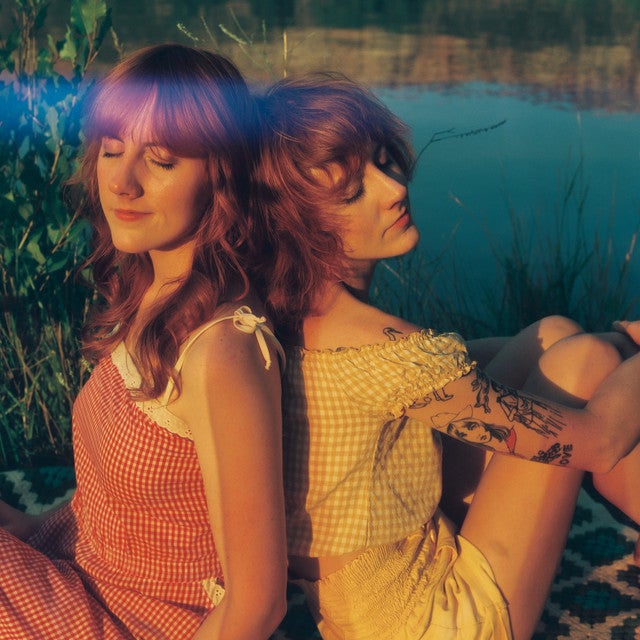 companion on spotify