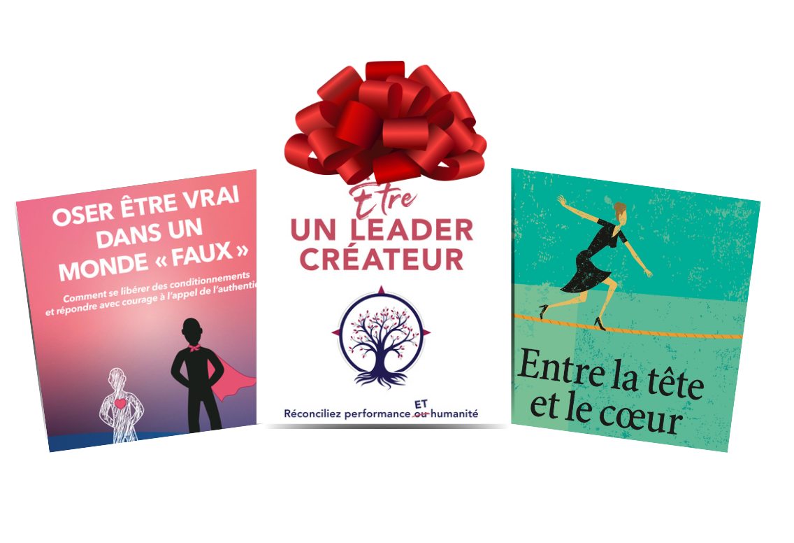 🎁🎄 Acheter le Coffret Cadeau: Les 3 livres de Pascale Dufresne