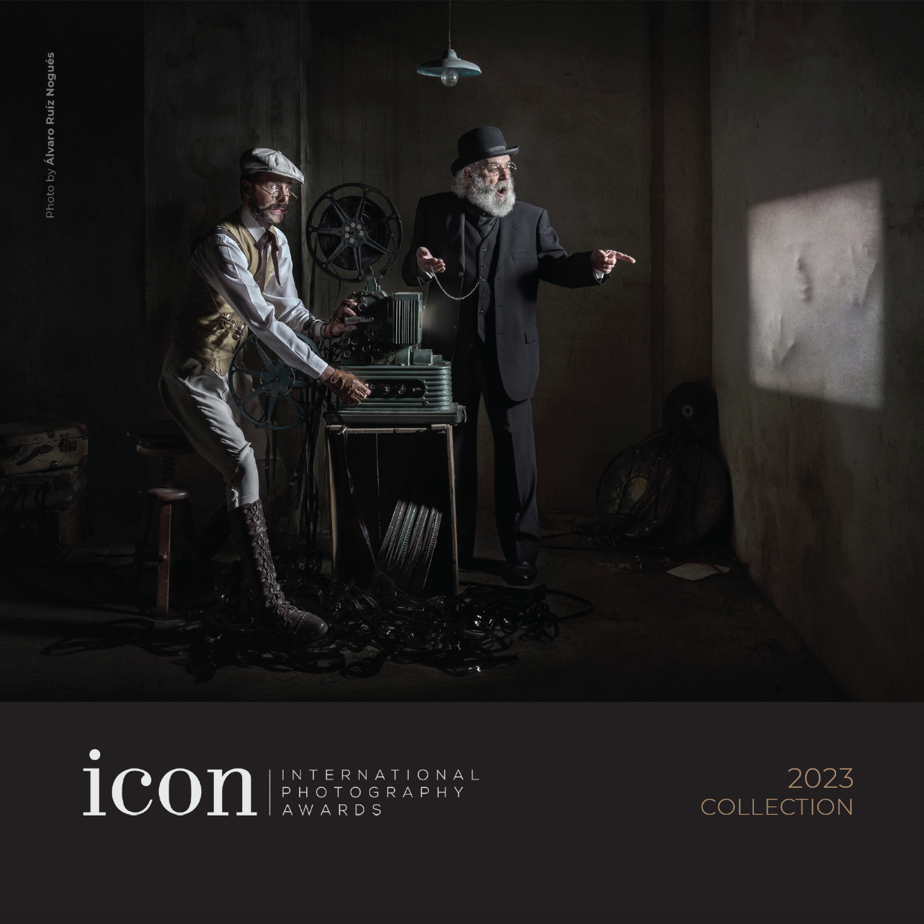Purchase the Icon Awards book