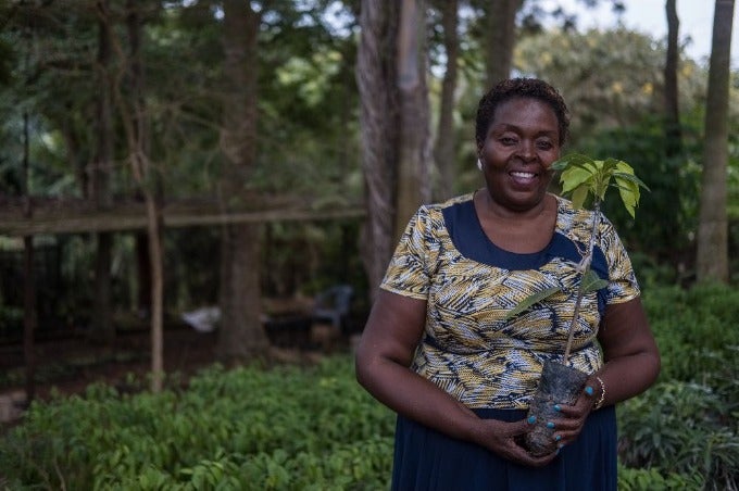 Planting trees — here, there and everywhere - Perspective