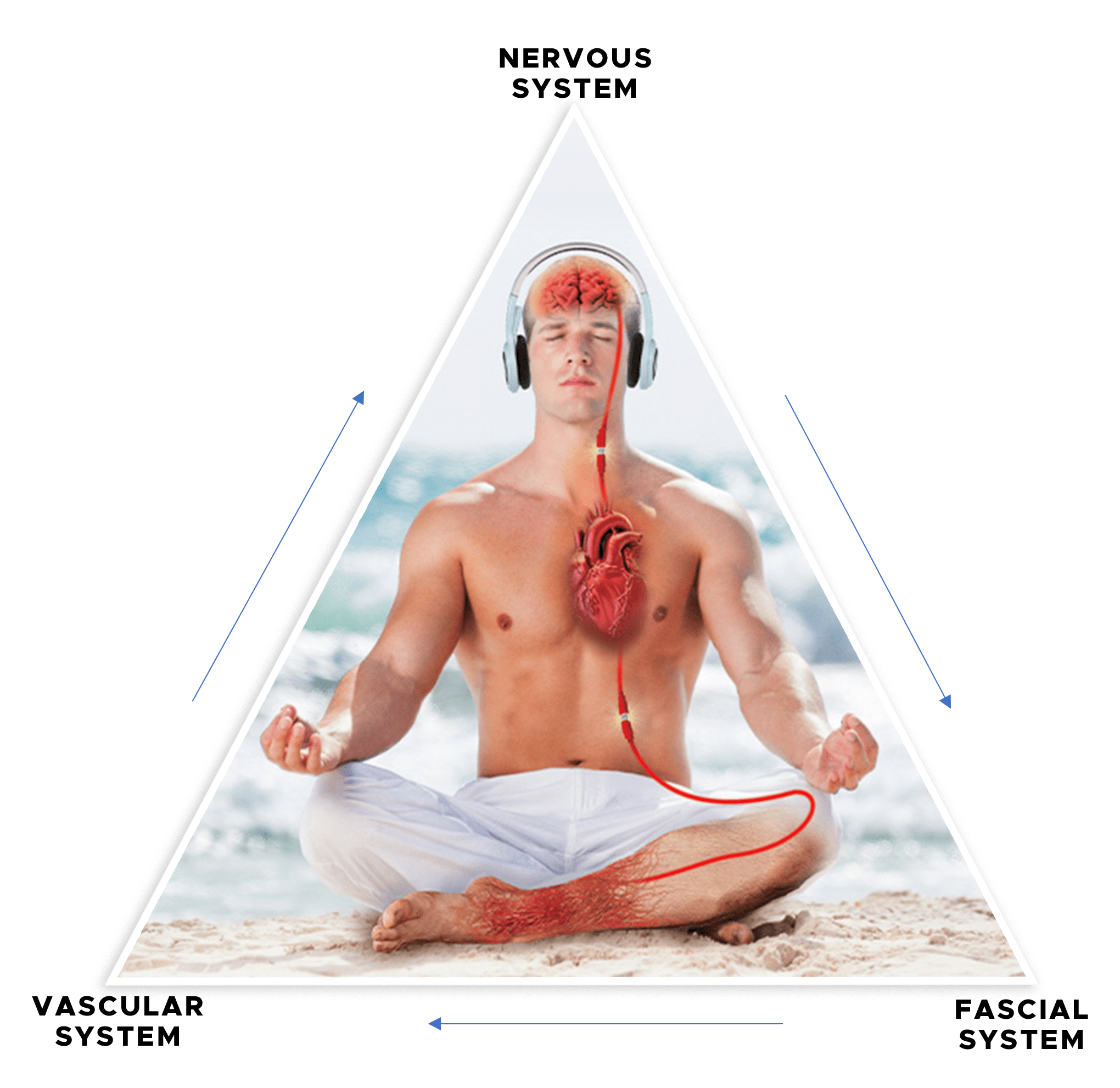 Restore Alignment 90-Minute Whole-Body Optimization