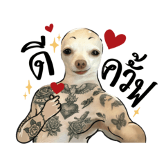 CALORIE | line stickers 