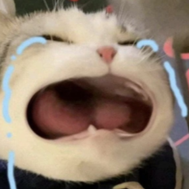 Personal IG - Heblo!