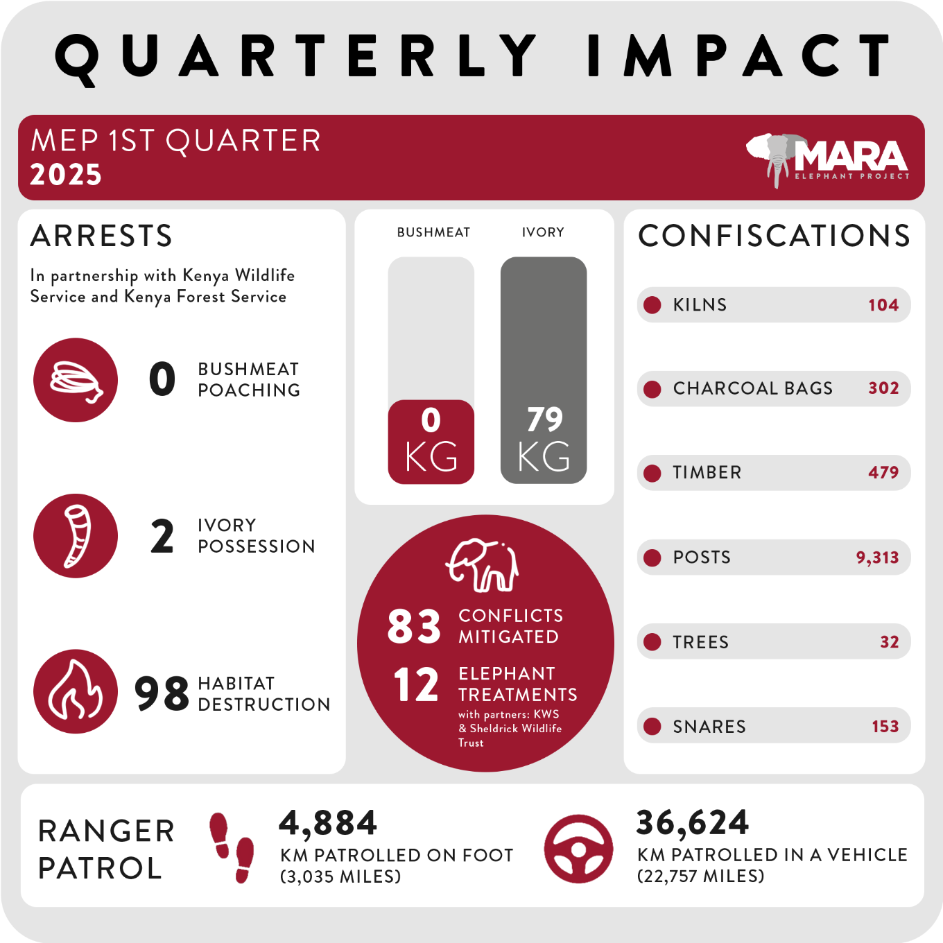 MEP Matters: Q1 2025 Newsletter