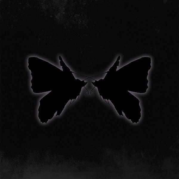 BUTTERFLIES (mi amor mix)