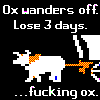 erika: (games: oregon trail: fucking ox)