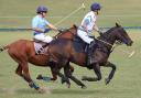 Polo at Tedworth