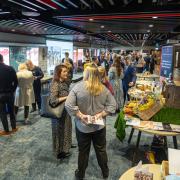 Hampshire Fare is launching a new networking event, Business Connect.