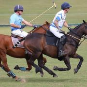 Polo at Tedworth