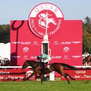 Miss Scott was impressive in the Prix de l’Opera (Scoopdyga)