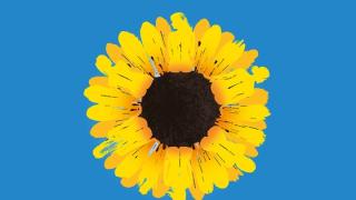 BATS will perform Calendar Girls at The Haymarket.