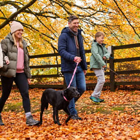 Family holidays for less than £100? You'd be surprised how many options there are