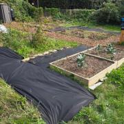 The Mayfield Road Community Allotment is inviting residents to join its gardening sessions.