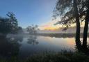 Andy Bowditch's photo has been chosen as our Picture of the Week.