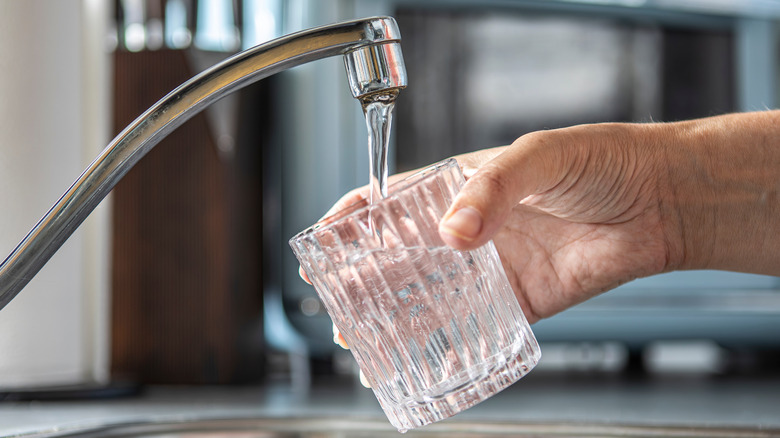 Closeup of a glass being filled with tap water in a kitchen.