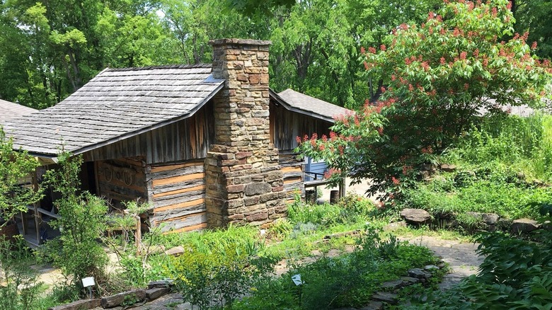 Historic cabin located in the craft village of Ozark Folk Center State Park, Arkansas, surrounded by dense vegetation