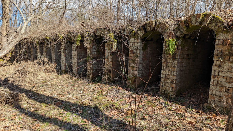 Belgian Coke Oven Ruins at Vinton Furnace State Forest in McArthur, Ohio